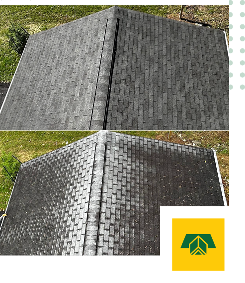 Two aerial photos of a roof: the top image shows clean, dark shingles after Sunny Side Roof Rejuvenate, while the bottom shows weathered, dirty shingles. A yellow and green roofing icon appears in the lower right corner—a great option for Florida homes.
