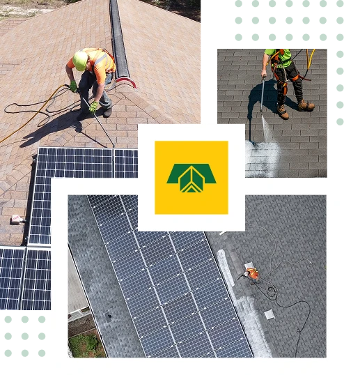 Three aerial photos show workers cleaning roofs near solar panels with hoses and equipment for Sunny Side Roof Rejuvenate, a Florida roofing service. The center features a yellow and green roof-and-leaves logo. The background displays green grid patterns.