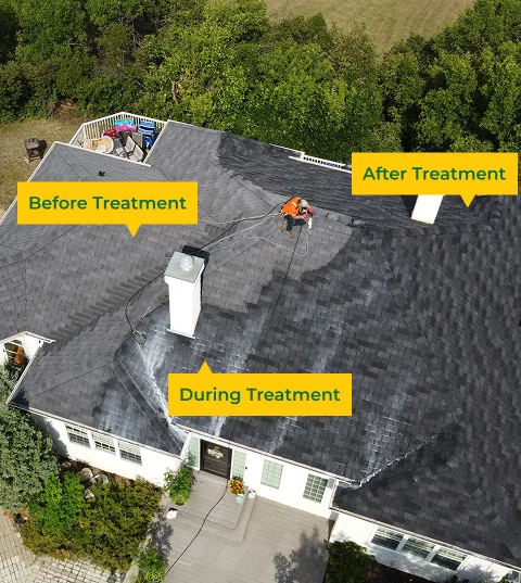 Aerial view of a house roof in Florida being cleaned by Sunny Side Roof Rejuvenate, with labeled areas: Before Treatment, During Treatment, and After Treatment. A worker is spraying the roofing during the rejuvenation process.