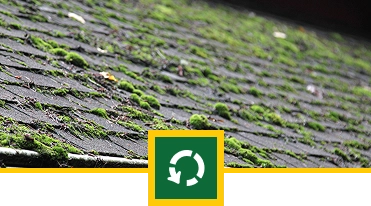 A sloped roof with dark shingles covered in patches of green moss, showcasing the need for Roofing care. A green recycling symbol is overlaid at the bottom center, hinting at Sunny Side Roof Rejuvenate solutions.
