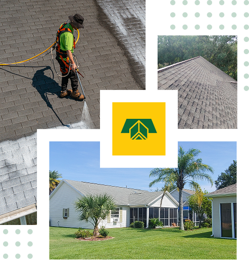 A collage featuring a worker cleaning a roof, a close-up of shingled roofing, and a house with a well-kept lawn under the Florida sun, with the Sunny Side Roof Rejuvenate logo at the center.